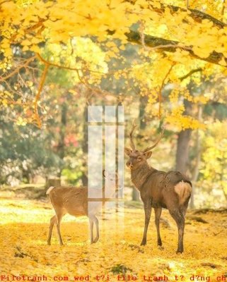 Tệp tin gốc File gốc in tranh tổng hợp K49806 (chất lượng) File gốc in tranh tổng hợp K49806