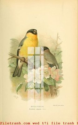 File gốc in mica File gốc in tranh tổng hợp K49862 chất lượng