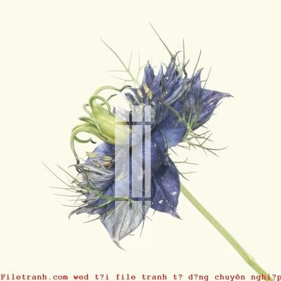 File gốc File gốc in tranh tổng hợp K49910 (PNG) nền trong suốt