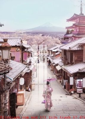 File in mica File gốc in tranh tổng hợp K49945 (bản gốc) làm vách ngăn