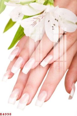 File gốc File gốc in tranh tổng hợp K4998 (in lụa) họa tiết 3D