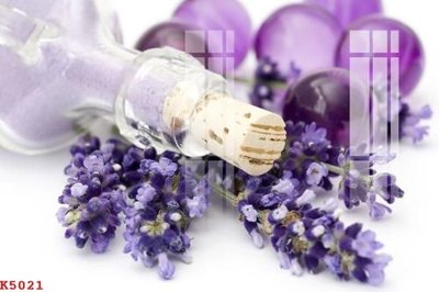 File in trần File gốc in tranh tổng hợp K5021 (bản gốc) 5D