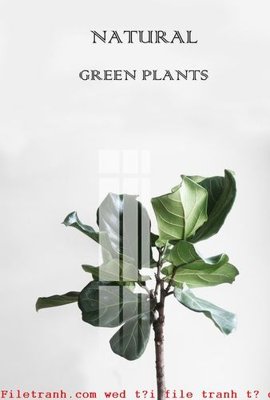 Tải file gốc File gốc in tranh tổng hợp K50243 (in tráng gương) 5DFile gốc File gốc in tranh tổng hợp K50243 (in ấn) phiên bản premium