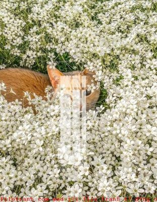 Download file tranh PSD File gốc in tranh tổng hợp K50259 để chỉnh sửa