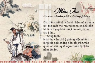 Tải file tranh File gốc in tranh tổng hợp K50628 (ảnh gốc) ngay