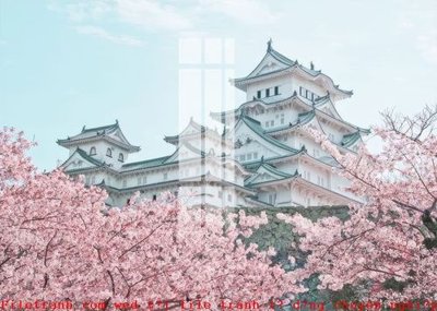 File tranh PSD File gốc in tranh tổng hợp K50646 chất lượng cao