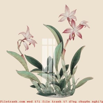 Tệp tin gốc File gốc in tranh tổng hợp K50667 (dùng cho in) File gốc in tranh tổng hợp K50667