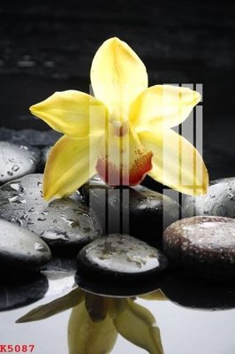 File gốc File gốc in tranh tổng hợp K5087 (chủ đề hiện đại) trang trí