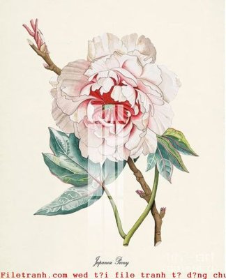 File tranh gốc PSD File gốc in tranh tổng hợp K50971 còn nguyên layer