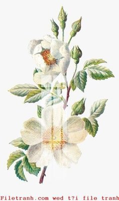 File ảnh File gốc in tranh tổng hợp K50975 (gốc) trang trí khách sạn