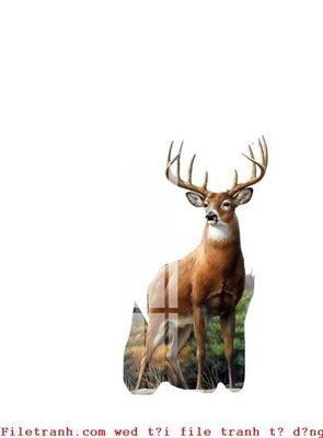 File gốc File gốc in tranh tổng hợp K51011 (in lụa) họa tiết 3D