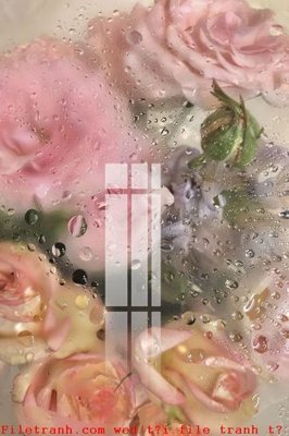 File tranh File gốc in tranh tổng hợp K51027 (ảnh gốc) in trần nhà