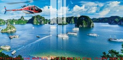 File tranh File gốc in tranh tổng hợp K51056 (gốc) chủ đề động vật