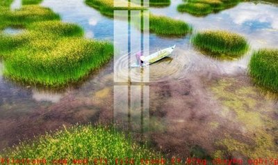 File gốc File gốc in tranh tổng hợp K51116 (in lụa) hoa văn cổ điển