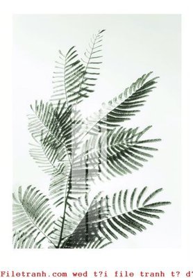 File PSD File gốc in tranh tổng hợp K51234 (bản gốc) đã tách nền