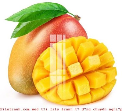 Tải xuống file tranh gốc File gốc in tranh tổng hợp K51425 (PSD/TIFF)