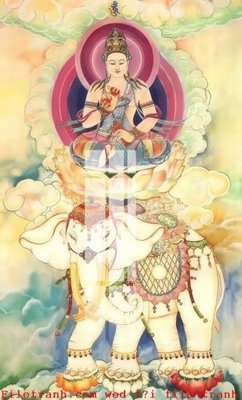 Tải file gốc File gốc in tranh tổng hợp K51647 (in tráng gương) siêu đẹpFile tranh gốc File gốc in tranh tổng hợp K51647 chất lượng cao