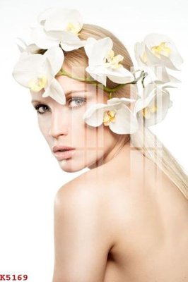 File tranh gốc File gốc in tranh tổng hợp K5169 chủ đề hiện đại