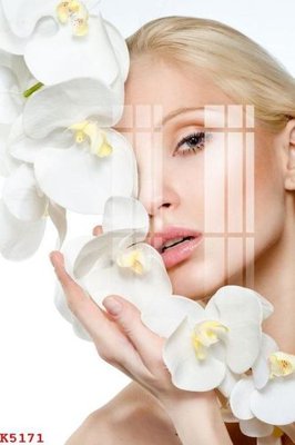 File gốc File gốc in tranh tổng hợp K5171 (ảnh chi tiết) để in ấn