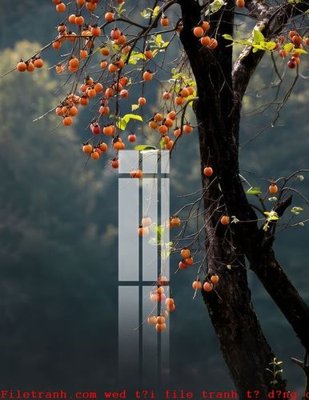 File gốc File gốc in tranh tổng hợp K51773 (in lụa) hoa văn cổ điển