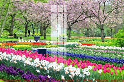 File gốc File gốc in tranh tổng hợp K51795 (in 3D) cho trang trí