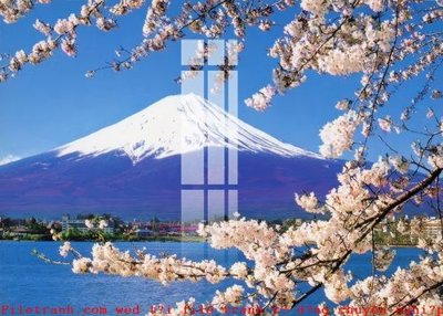 File tranh File gốc in tranh tổng hợp K51813 (file gốc) chuẩn màu in