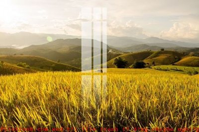 File tranh File gốc in tranh tổng hợp K51854 (ảnh gốc) độc quyền