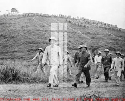 File tranh File gốc in tranh tổng hợp K51989 (gốc) chủ đề động vật