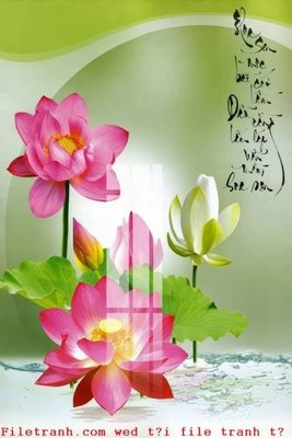 Tải file File gốc in tranh tổng hợp K52107 (gốc) làm tranh trang trí