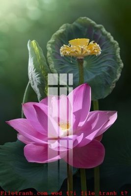 File gốc File gốc in tranh tổng hợp K52141 (vector) cho in ấn