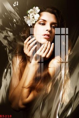 File ảnh File gốc in tranh tổng hợp K5218 (gốc) in decal dán tường