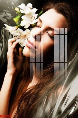 File in trần File gốc in tranh tổng hợp K5222 (bản gốc 3D) sống động