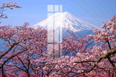 File gốc File gốc in tranh tổng hợp K52350 (cho in UV) siêu nét