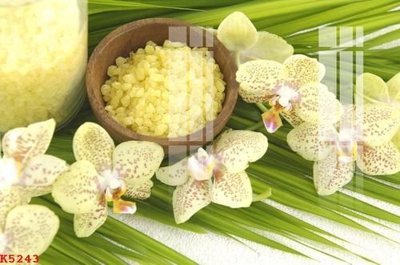 File in trần File gốc in tranh tổng hợp K5243 (file gốc) phong thủy