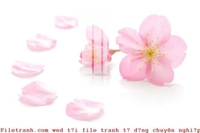 Download file gốc File gốc in tranh tổng hợp K52434 (in lụa) cao cấp