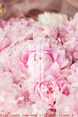 Hình ảnh file gốc in lụa File gốc in tranh tổng hợp K52437