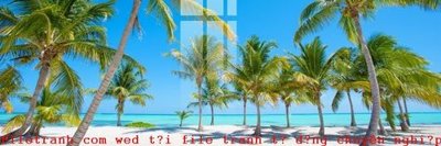 File tranh File gốc in tranh tổng hợp K52459 (bản gốc) trang trí văn phòng