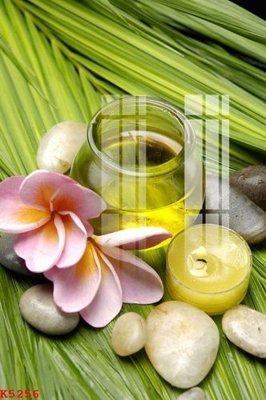 Tải file gốc File gốc in tranh tổng hợp K5256 (in tráng gương) 5DFile gốc File gốc in tranh tổng hợp K5256 (in ấn) phiên bản premium