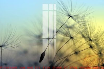 Tải file File gốc in tranh tổng hợp K52573 (gốc) làm file in ấn