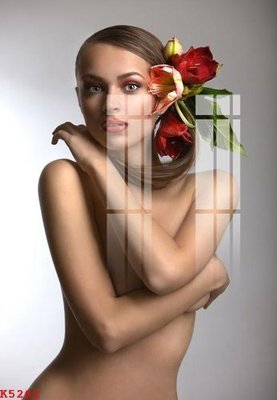 Download file File gốc in tranh tổng hợp K5261 (chất lượng in ấn)