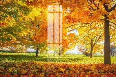 File in mica File gốc in tranh tổng hợp K52619 (ảnh gốc) đẹp