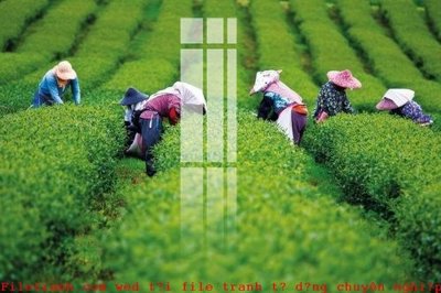 File ảnh File gốc in tranh tổng hợp K53444 (gốc) dùng in Pano