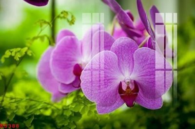 File PSD File gốc in tranh tổng hợp K5388 (chất lượng in ấn)