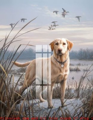 File in trần File gốc in tranh tổng hợp K53880 (bản gốc) bầu trời