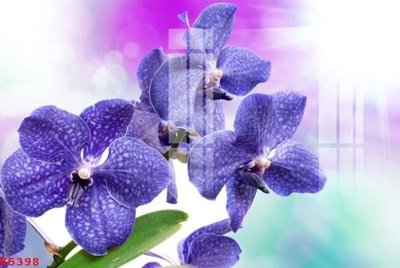 Tải file File gốc in tranh tổng hợp K5398 (gốc) chủ đề phong thủy