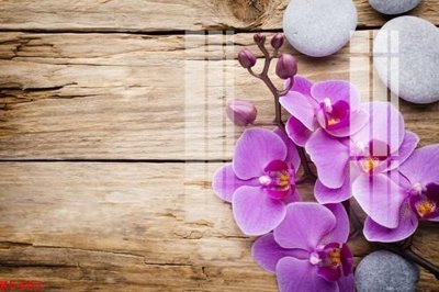 File in ấn chuyên nghiệp File gốc in tranh tổng hợp K5401 (file gốc)