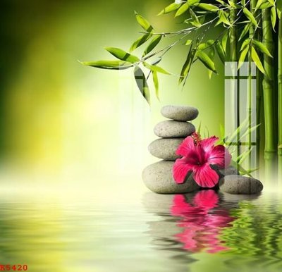 File in mica File gốc in tranh tổng hợp K5420 (bản gốc) làm vách ngăn