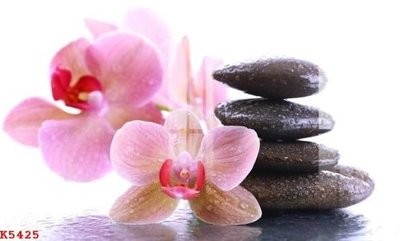 File gốc File gốc in tranh tổng hợp K5425 (cho in ấn) độc quyền