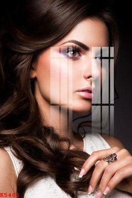 File tranh gốc File gốc in tranh tổng hợp K5481 (sắc nét từng chi tiết)