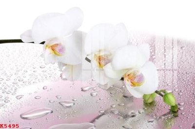 File in lụa File gốc in tranh tổng hợp K5495 (hoa văn) File gốc in tranh tổng hợp K5495